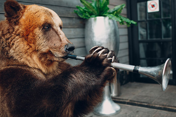 A bear playing a trumpet